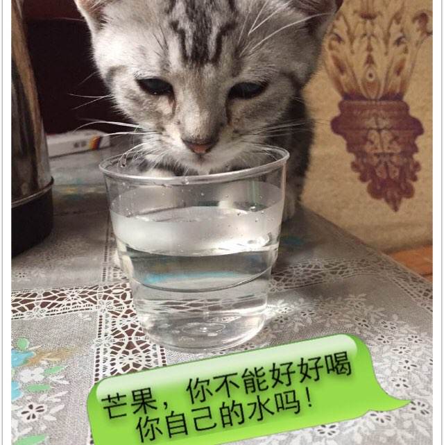 仿制福建工程师证